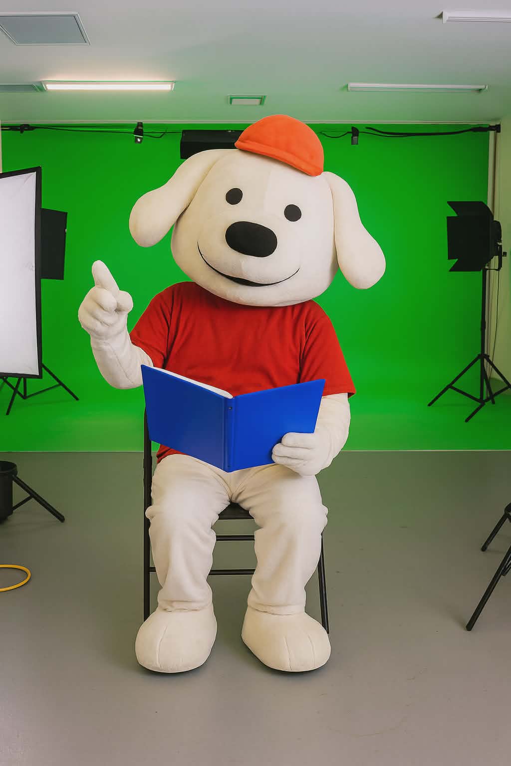 Storytime Pup in the green screen studio